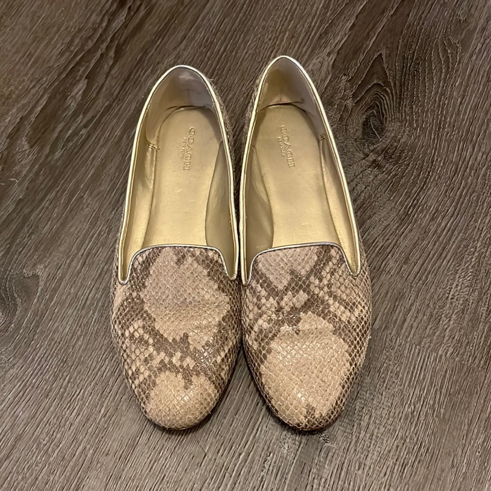 Coach Snakeskin Loafer